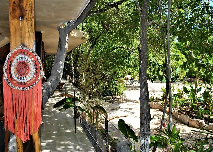 Hotel Sunset House